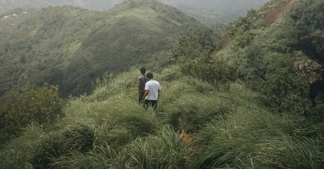 Marche trek activité en Martinique