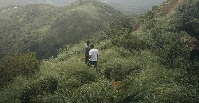 Marche trek activité en Martinique